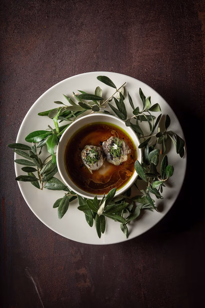 Picual - Mehadrin - Rishon LeZion - Credit David Moyal